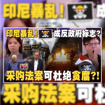 🇮🇩一次看懂印尼暴乱始末！抗议采购法案通过，反对党议员全体离席？【#新闻随便看 30/8】