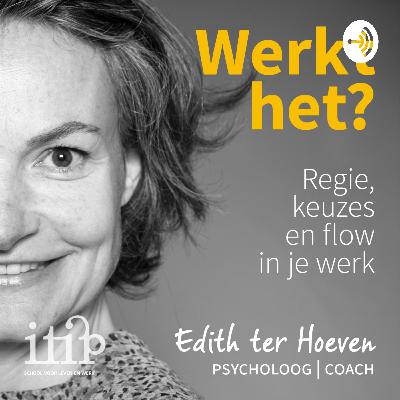 #3: Keuzes maken in je Werk, met Rick Pastoor (GRIP)