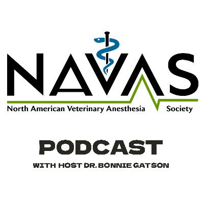 Dr. Stuart Clark-Price on Equine Anesthetic Recovery