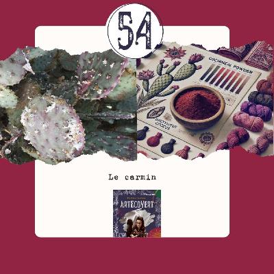 Le carmin, une couleur du vivant phare pour les teintures naturelles mais pas que Le carmin, une couleur du vivant phare pour les teintures naturelles mais pas que