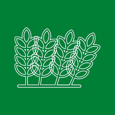 AFA TALK: integrare blu e green economy nelle filiere AFA TALK: integrare blu e green economy nelle filiere