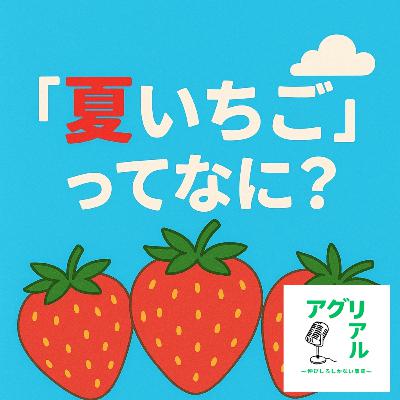 第40回 夏いちごってなに? 第40回 夏いちごってなに?