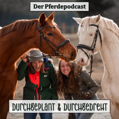 #27 – Fohlenfieber