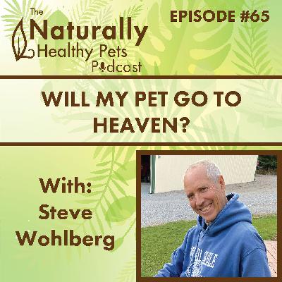 EP 65: Will My Pet Go to Heaven?  with Steve Wohlberg EP 65: Will My Pet Go to Heaven?  with Steve Wohlberg