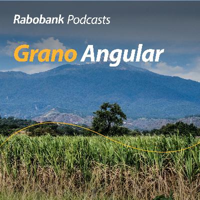 Rollings en México, granos, pecuarios y más Rollings en México, granos, pecuarios y más