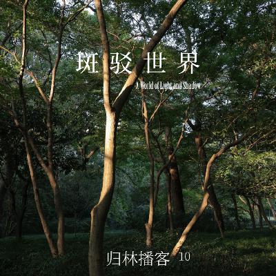 Vol.10｜如树木扎根于斑驳之中，接纳光暗交织的世界