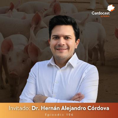 #196 - Reglas de oro en formulación: Optimizando el uso de energía - Parte 2 - Dr. Alejandro Córdova