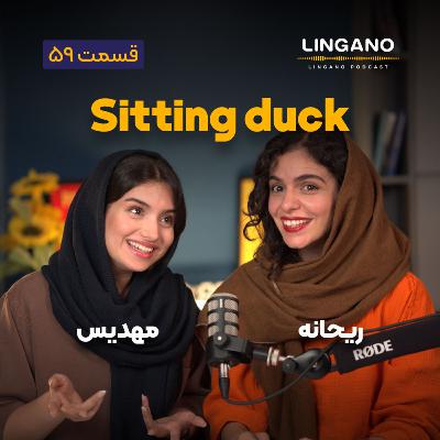 قسمت ۵۹ - A sitting duck