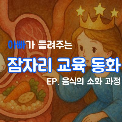 수면동화 - 음식의 소화 과정