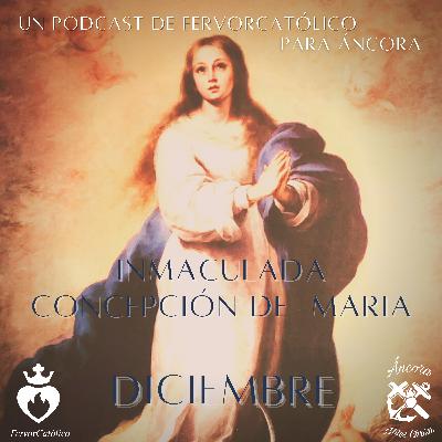 INMACULADA CONCEPCIÓN DE LA SANTISIMA VIRGEN MARIA | MEDITACIÓN DE DICIEMBRE INMACULADA CONCEPCIÓN DE LA SANTISIMA VIRGEN MARIA | MEDITACIÓN DE DICIEMBRE