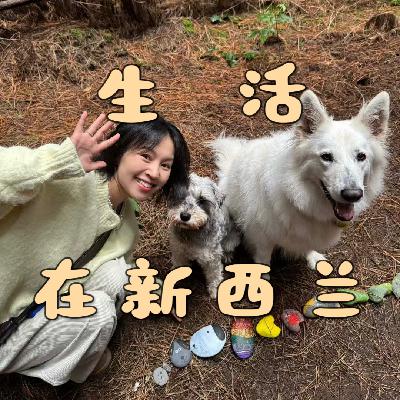 20 生活在新西兰：世界的终点，原来这么美好