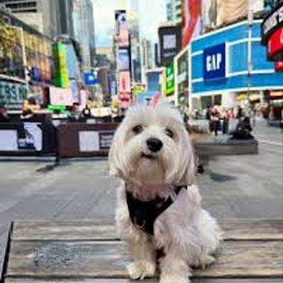 Could NYC’s Mayor Eventually Ban Man’s Best Friend?