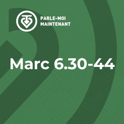 PMM 27 | Retour de mission et première multiplication des pains et des poissons (Marc 6.30-44)