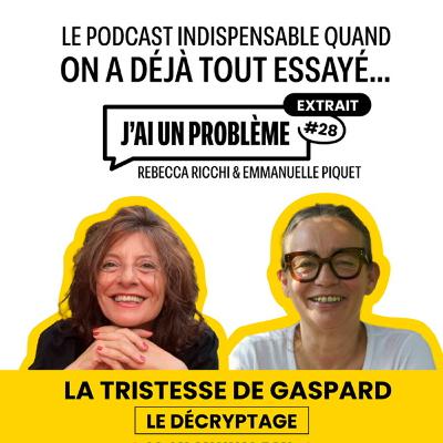 La tristesse de Gaspard - Le décryptage