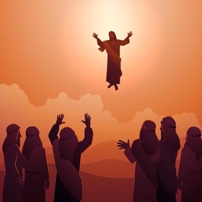 ... not where, but what ... not where, but what