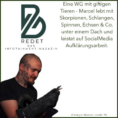 Ein Leben mit giftigen Echsen, Schlangen, Skorpionen und Spinnen - Marcel ist der "venom breeder"