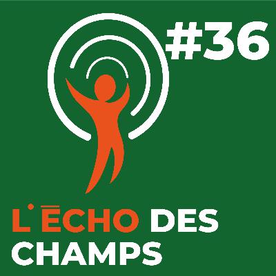 Quand arrêterons-nous de dévorer notre planète ? - Philippe Pointereau, auteur de l'étude Solagro