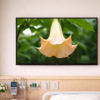 Episode 104 - Hospitalized on Angel's Trumpet Episode 104 - Hospitalized on Angel's Trumpet