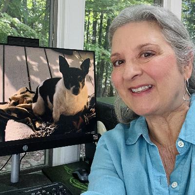 Episode 399 - Sheri Castle Episode 399 - Sheri Castle