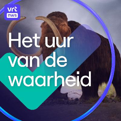 Louche privacyvoorwaarden bij WhatsApp en Snapchat. En de mammoet was geen sneeuwolifant.