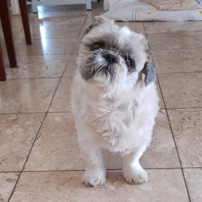 Episódio#9 Quando a vida está por um fio... Episódio#9 Quando a vida está por um fio...