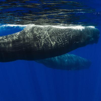 What was hot in January 2024? A look back at the latest news