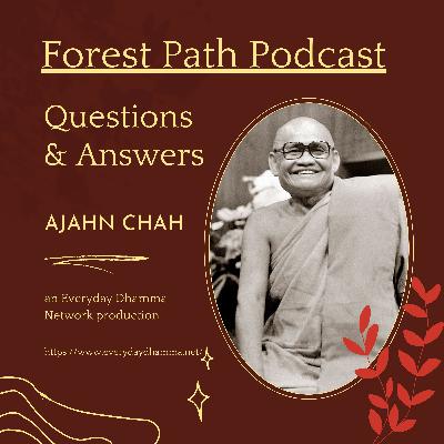 Questions & Answers | Ajahn Chah