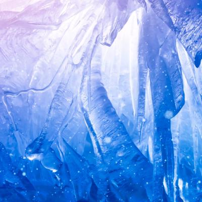 Maverick’s Discussion by Sylvie and Alaine