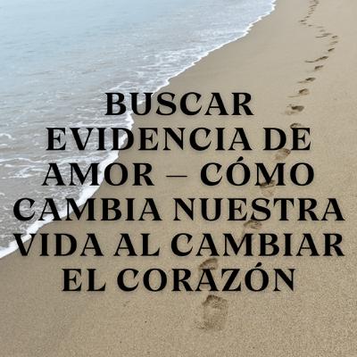 Buscar Evidencia de Amor – Cómo Cambia Nuestra Vida al Cambiar el Corazón