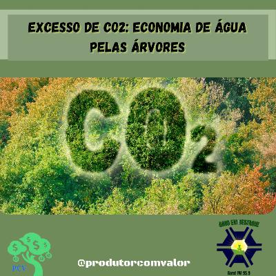 Excesso de CO2 e economia de água pelas árvores Excesso de CO2 e economia de água pelas árvores