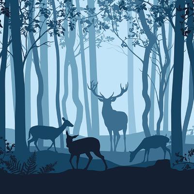 Movement Three - What the Animals in the Forest Tell Me (S3, Ep.3) Movement Three - What the Animals in the Forest Tell Me (S3, Ep.3)