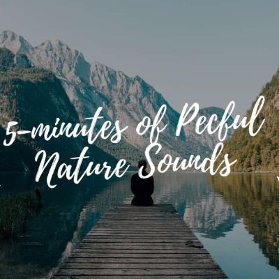 5-Minute Ambient Soundscape of Relaxing Nature Music, Nature Sound, Meditation Music, Yoga, Study Music