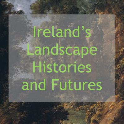 Writing Ireland's Arboreal Landscapes