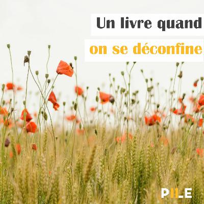 EP 44 - Un livre quand on se déconfine
