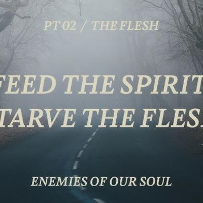 Episode 208: Enemies of the Soul - Flesh (Part 2)