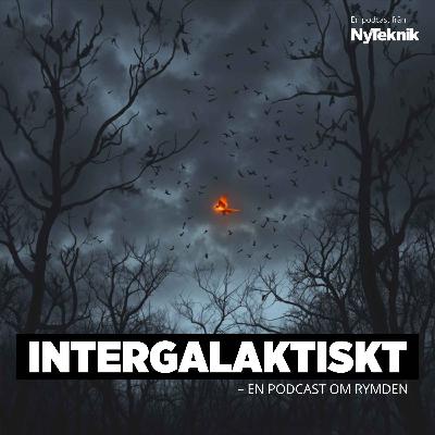 UFO-mysterier del 2: Brinnande fågel eller störtande rymdskepp?
