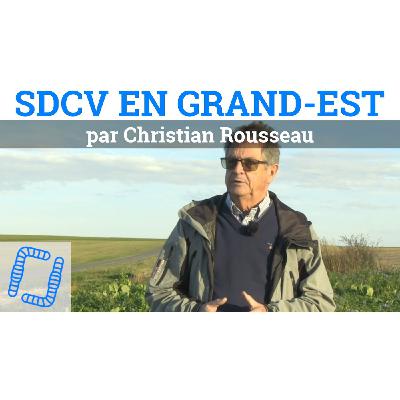 UN SEMOIR DIRECT EN 6M POUR 30 000€, par Christian Rousseau