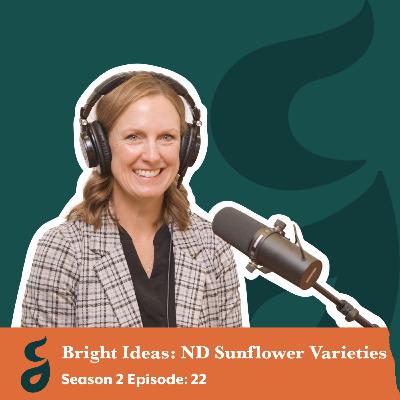 Bright Ideas: ND Sunflower Varieties