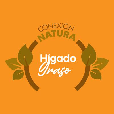 HÍGADO GRASO HÍGADO GRASO