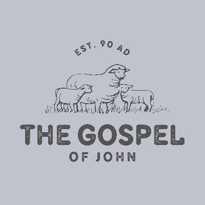 Witnesses in the Gospel of John