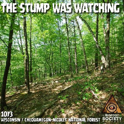 A Northern Wisconsin Landowner Describes The Creature Watching Him Build In The Woods A Northern Wisconsin Landowner Describes The Creature Watching Him Build In The Woods