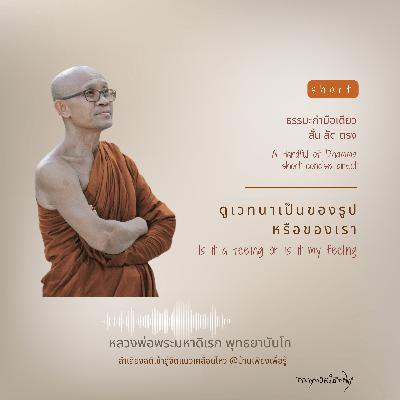 ดูเวทนาเป็นของรูปหรือของเรา  Is it a feeling  or is it my feeling