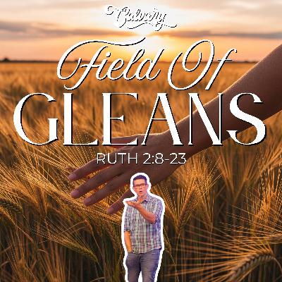 Ruth 2:8-23 – Field Of Gleans Ruth 2:8-23 – Field Of Gleans