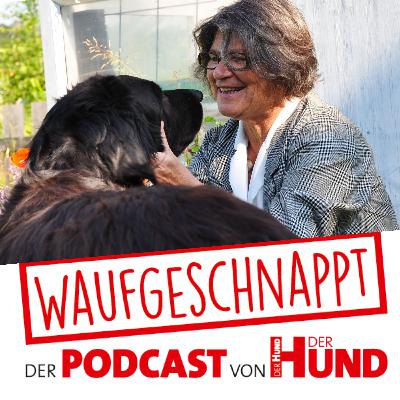 Suchterkrankung beim Hund - Barbara Wahlig