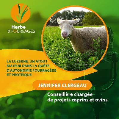 HERBE ET FOURRAGES - La luzerne, un atout majeur dans la quête d’autonomie fourragère et protéique