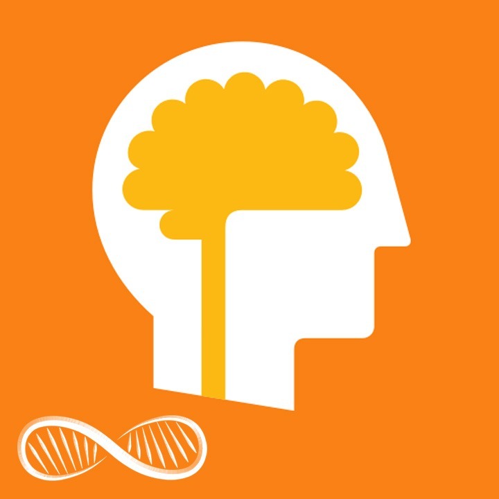 A fun brain training app with dubious transfer effects ⭐⭐⭐ Biohacker Review of Lumosity