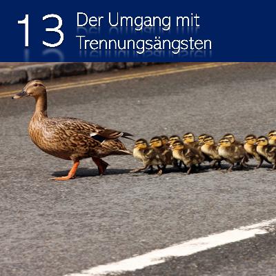13 - Der Umgang mit Trennungsängsten