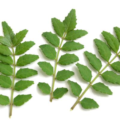 #158 あまった山椒の使い道