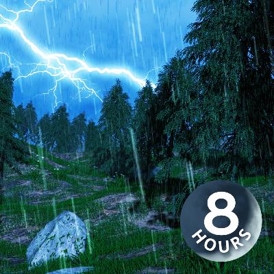 Forest Rain Sounds for Sleep | Thunderstorm White Noise 8 Hours Forest Rain Sounds for Sleep | Thunderstorm White Noise 8 Hours