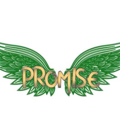Promise #1 ( inspiration )